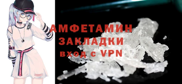 ГАЛЛЮЦИНОГЕННЫЕ ГРИБЫ Корсаков