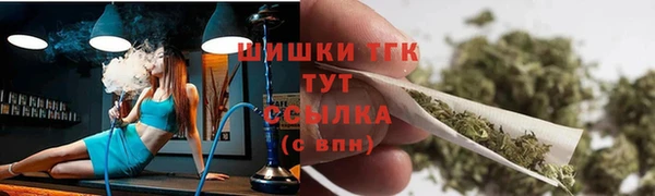 гашик Коряжма