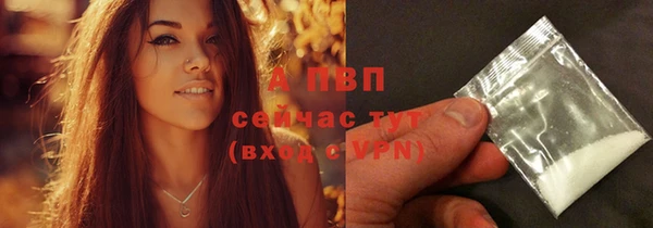 индика Кукмор