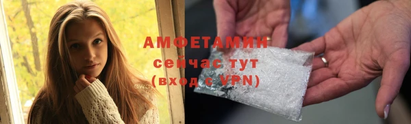 индика Кукмор