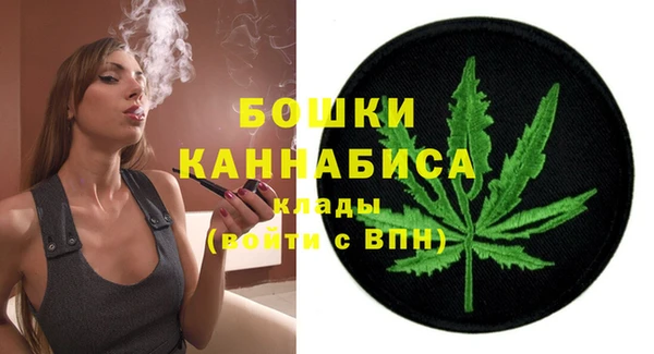 гашик Коряжма