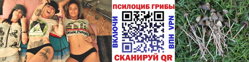 Псилоцибиновые грибы ЛСД  Красавино 